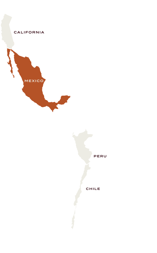 mexico map
